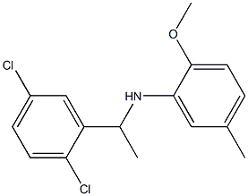 N-[1-(2,5-dichlorophenyl)ethyl]-2-methoxy-5-methylaniline Struktur