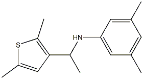 N-[1-(2,5-dimethylthiophen-3-yl)ethyl]-3,5-dimethylaniline Struktur