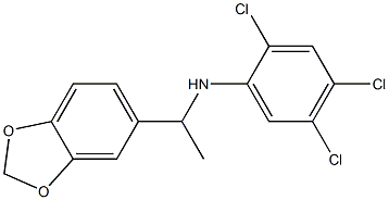 N-[1-(2H-1,3-benzodioxol-5-yl)ethyl]-2,4,5-trichloroaniline Struktur