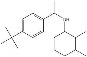 N-[1-(4-tert-butylphenyl)ethyl]-2,3-dimethylcyclohexan-1-amine Struktur