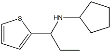 N-[1-(thiophen-2-yl)propyl]cyclopentanamine Struktur