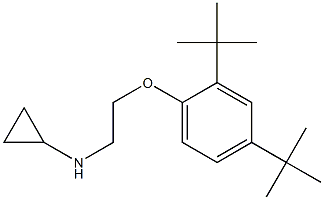 N-[2-(2,4-di-tert-butylphenoxy)ethyl]cyclopropanamine Struktur