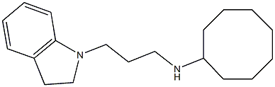 N-[3-(2,3-dihydro-1H-indol-1-yl)propyl]cyclooctanamine Struktur