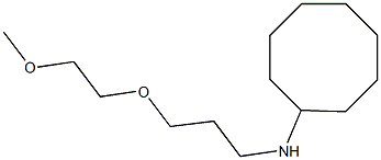 N-[3-(2-methoxyethoxy)propyl]cyclooctanamine Struktur