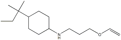 N-[3-(ethenyloxy)propyl]-4-(2-methylbutan-2-yl)cyclohexan-1-amine Struktur