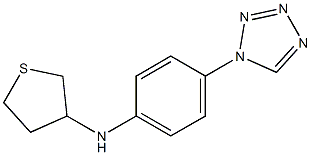 N-[4-(1H-1,2,3,4-tetrazol-1-yl)phenyl]thiolan-3-amine Struktur