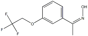 N-{1-[3-(2,2,2-trifluoroethoxy)phenyl]ethylidene}hydroxylamine Struktur