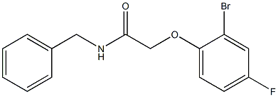 N-benzyl-2-(2-bromo-4-fluorophenoxy)acetamide Struktur