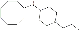 N-cyclooctyl-1-propylpiperidin-4-amine Struktur