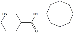 N-cyclooctylpiperidine-3-carboxamide Struktur