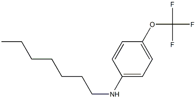 N-heptyl-4-(trifluoromethoxy)aniline Struktur