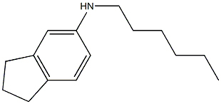 N-hexyl-2,3-dihydro-1H-inden-5-amine Struktur