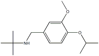 tert-butyl({[3-methoxy-4-(propan-2-yloxy)phenyl]methyl})amine Struktur