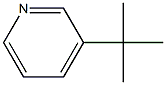 3-tert-butylpyridine Struktur