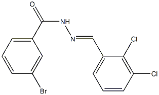 3-bromo-N'-[(E)-(2,3-dichlorophenyl)methylidene]benzohydrazide Struktur