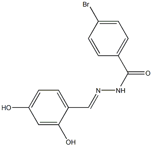 4-bromo-N'-[(E)-(2,4-dihydroxyphenyl)methylidene]benzohydrazide Struktur