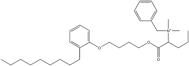 N,N-Dimethyl-N-benzyl-N-[1-[[4-(2-nonylphenyloxy)butyl]oxycarbonyl]butyl]aminium Struktur