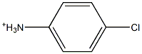 4-Chlorobenzenaminium Struktur