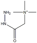 (Hydrazinocarbonylmethyl)trimethylaminium Struktur