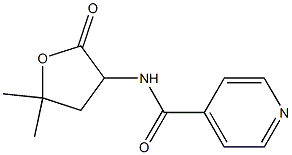 N-(5,5-Dimethyl-2-oxotetrahydrofuran-3-yl)isonicotinamide Struktur