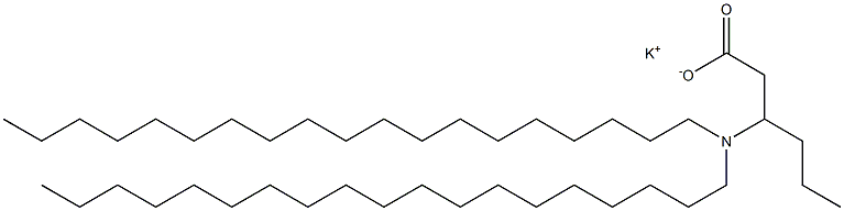 3-(Dinonadecylamino)hexanoic acid potassium salt Struktur