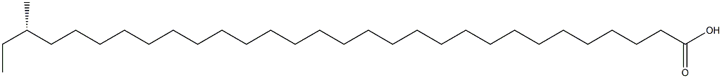 [S,(+)]-28-Methyltriacontanoic acid Struktur