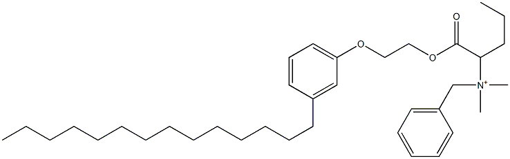 N,N-Dimethyl-N-benzyl-N-[1-[[2-(3-tetradecylphenyloxy)ethyl]oxycarbonyl]butyl]aminium Struktur