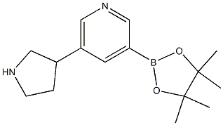 3-(4,4,5,5-tetraMethyl-1,3,2-dioxaborolan-2-yl)-5-(pyrrolidin-3-yl)pyridine Struktur