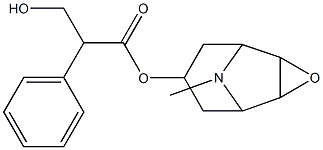 SCOPOLAMINE, 98% Struktur