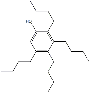 Tetrabutylphenol Struktur