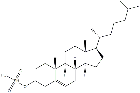 cholesterol sulfatide Struktur