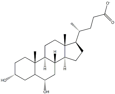 HYODEOXYCHOLATE Struktur