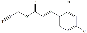 cyanomethyl (E)-3-(2,4-dichlorophenyl)-2-propenoate Struktur