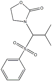 3-[2-methyl-1-(phenylsulfonyl)propyl]-1,3-oxazolan-2-one Struktur