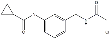 N-(3-{[(2-chloroacetyl)amino]methyl}phenyl)cyclopropanecarboxamide Struktur