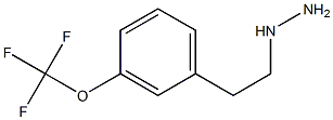 1-(3-(trifluoromethoxy)phenethyl)hydrazine Struktur