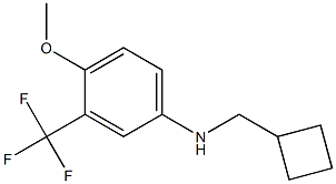 N-(cyclobutylmethyl)-3-(trifluoromethyl)-4-methoxybenzenamine Struktur