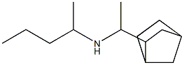 (1-{bicyclo[2.2.1]heptan-2-yl}ethyl)(pentan-2-yl)amine Struktur