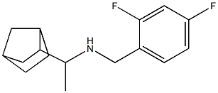 (1-{bicyclo[2.2.1]heptan-2-yl}ethyl)[(2,4-difluorophenyl)methyl]amine Struktur