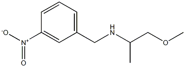 (1-methoxypropan-2-yl)[(3-nitrophenyl)methyl]amine Struktur