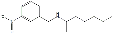 (6-methylheptan-2-yl)[(3-nitrophenyl)methyl]amine Struktur