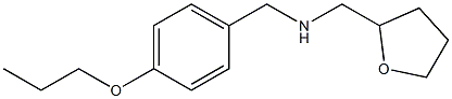 (oxolan-2-ylmethyl)[(4-propoxyphenyl)methyl]amine Struktur