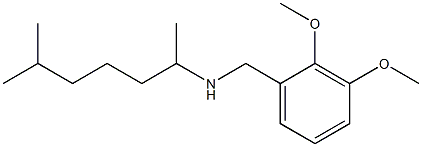 [(2,3-dimethoxyphenyl)methyl](6-methylheptan-2-yl)amine Struktur