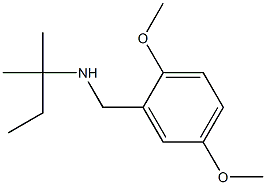 [(2,5-dimethoxyphenyl)methyl](2-methylbutan-2-yl)amine Struktur