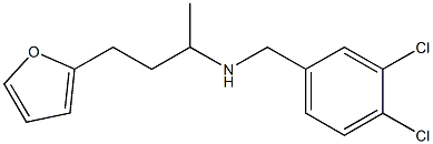 [(3,4-dichlorophenyl)methyl][4-(furan-2-yl)butan-2-yl]amine Struktur