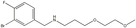 [(3-bromo-4-fluorophenyl)methyl][3-(2-methoxyethoxy)propyl]amine Struktur