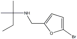 [(5-bromofuran-2-yl)methyl](2-methylbutan-2-yl)amine Struktur