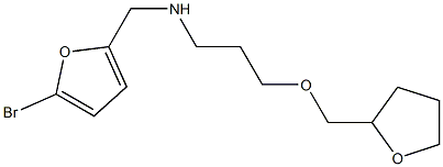 [(5-bromofuran-2-yl)methyl][3-(oxolan-2-ylmethoxy)propyl]amine Struktur