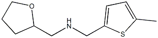 [(5-methylthiophen-2-yl)methyl](oxolan-2-ylmethyl)amine Struktur