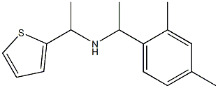 [1-(2,4-dimethylphenyl)ethyl][1-(thiophen-2-yl)ethyl]amine Struktur